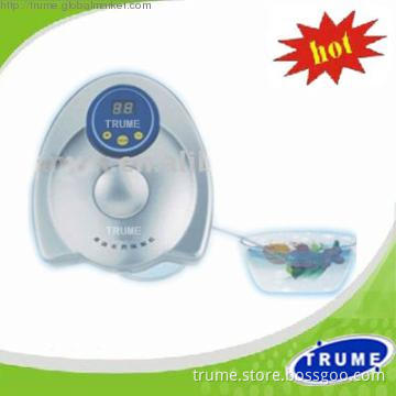 Hot sell Practical 400mg/h Ozone water purifier FOR Vegeatble